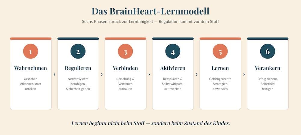 grafik_brainheart-6-phasen warum kinder nicht lernen - lernblockaden - BrainHeart - 6 Phasen Modell